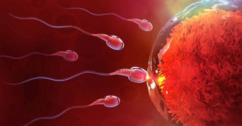 Toxic Chemicals are Plummeting Sperm Counts
